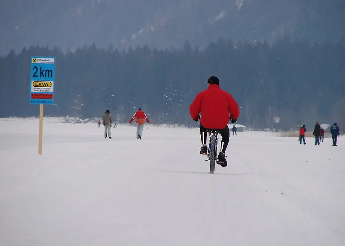 Plattner Lejlighed *